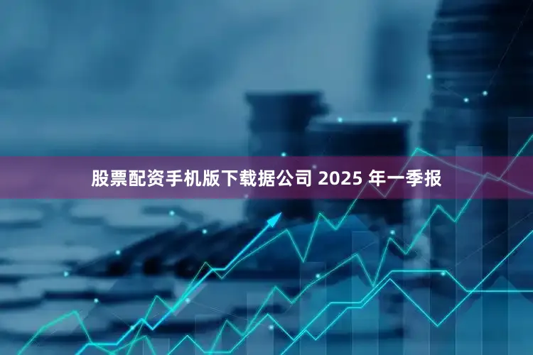 股票配资手机版下载据公司 2025 年一季报