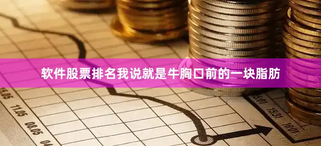 软件股票排名我说就是牛胸口前的一块脂肪