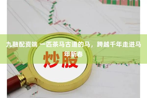 九融配资端 一匹茶马古道的马，跨越千年走进马年新春
